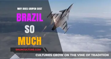 Why Brazil's Gripen Deal Carries a Hefty Price Tag