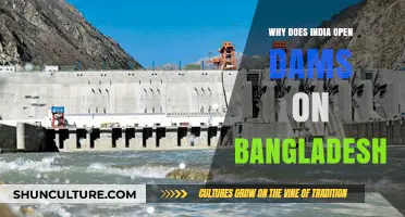 India's Dam Releases: Impact on Bangladesh's Flooding Crisis Explained