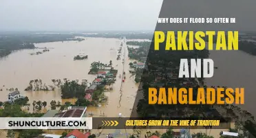 Monsoon Mayhem: Unraveling Pakistan and Bangladesh's Recurring Flood Crises