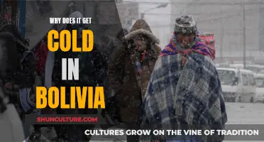 Bolivia's Cold Weather: What's Behind It?