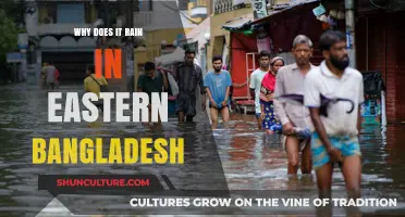 Eastern Bangladesh's Rainy Secrets: Unraveling the Monsoon Mystery