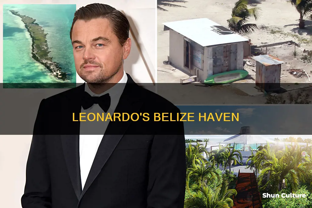 why does leonardo live in belize