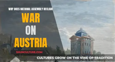 The National Assembly's Declaration of War on Austria: Why?
