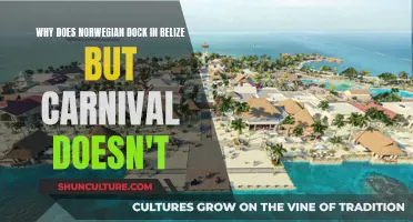 Norwegian's Belize Docking: Why Carnival Can't