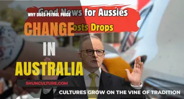 Petrol Price Fluctuations: Australia's Complex Dynamic