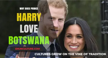 Prince Harry's Deep Connection: Why Botswana Holds His Heart