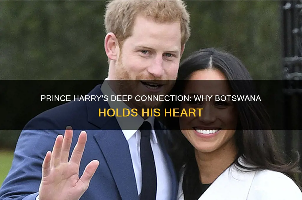 why does prince harry love botswana