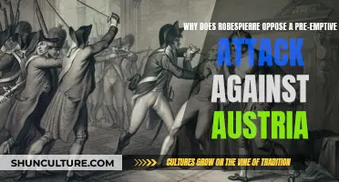 Robespierre's Opposition to Pre-emptive Strikes: Austria's Fate