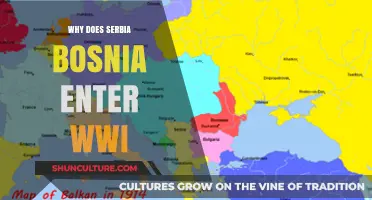 The Spark of Conflict: Serbia, Bosnia, and the Outbreak of WWI