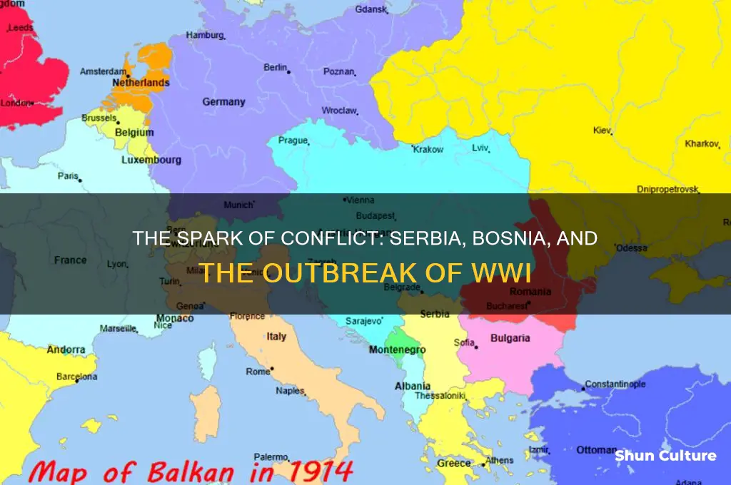why does serbia bosnia enter wwi