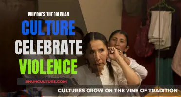 Bolivian Culture's Violent Celebrations: Understanding the Tradition