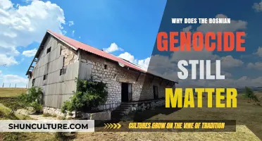 The Bosnian Genocide's Enduring Legacy: Why It Still Matters Today