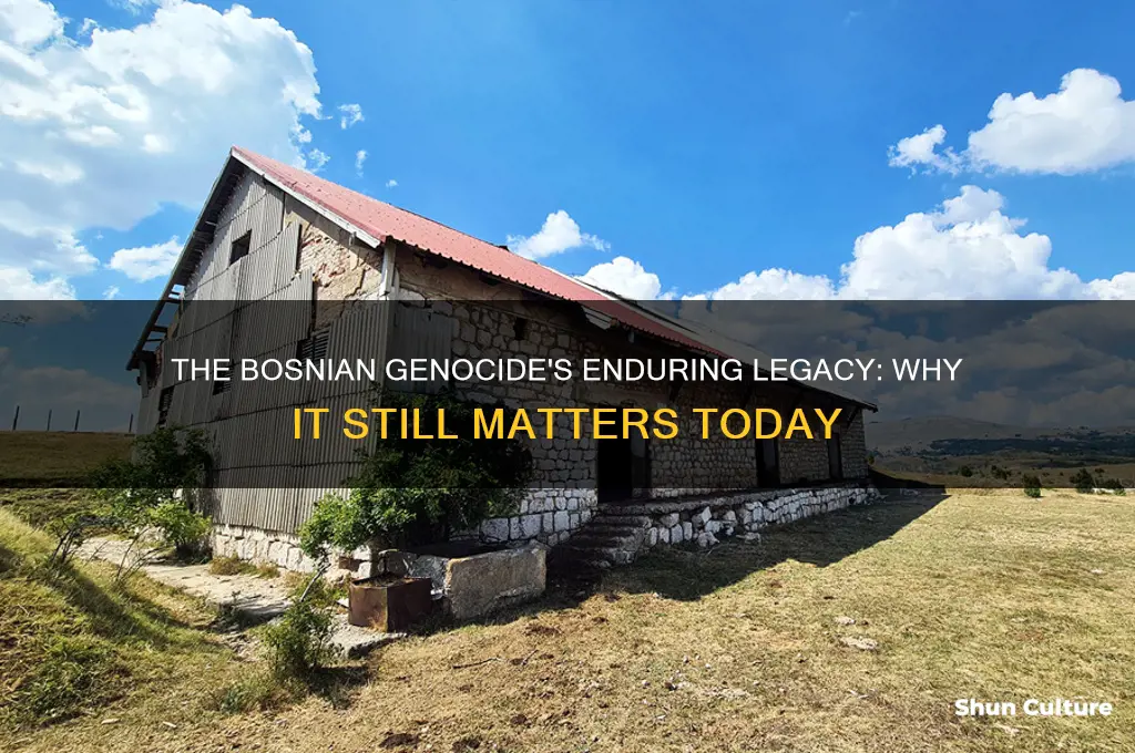 why does the bosnian genocide still matter