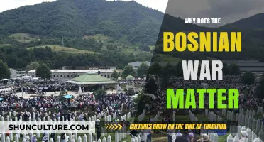 The Bosnian War's Legacy: Understanding Its Impact on Modern Europe