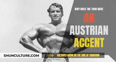 The T800's Austrian Accent: A Unique Choice Explained