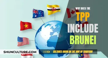 The TPP's Inclusion of Brunei: Strategic or Symbolic?