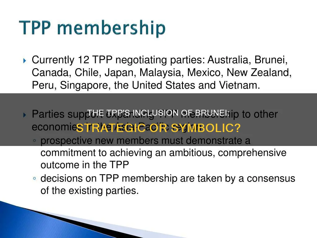 why does the tpp include brunei