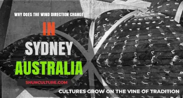 Sydney's Shifting Winds: Exploring the Causes of Directional Changes