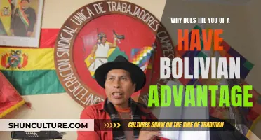 Bolivian Advantage: Why Does the US Have It?