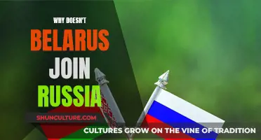 Belarus and Russia: Why No Union?