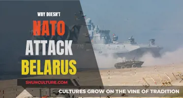 Should NATO Attack Belarus? Understanding the Alliance's Hesitation