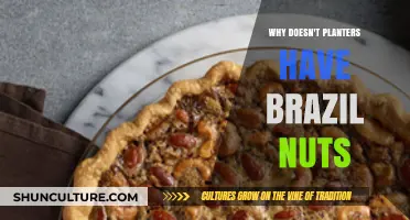 Why Planters Mix Lacks Brazil Nuts: Exploring the Absence