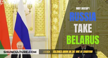 Russia's Belarus Strategy: Geopolitical Gain Without Invasion