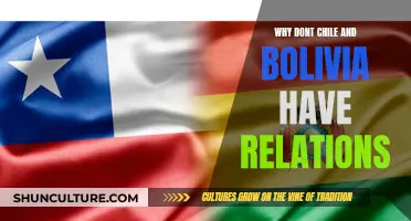 Chile-Bolivia Relations: A Historical Rift Explained