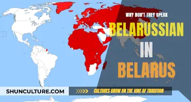 The Language Divide in Belarus: Russian vs. Belarusian