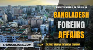 Rising Extremism in Bangladesh: Unraveling Foreign Policy and Domestic Factors