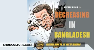 Declining FDI in Bangladesh: Unraveling the Economic and Policy Factors