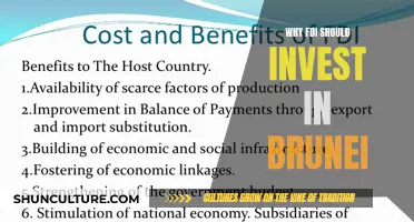 FDI in Brunei: A Smart Investment Decision