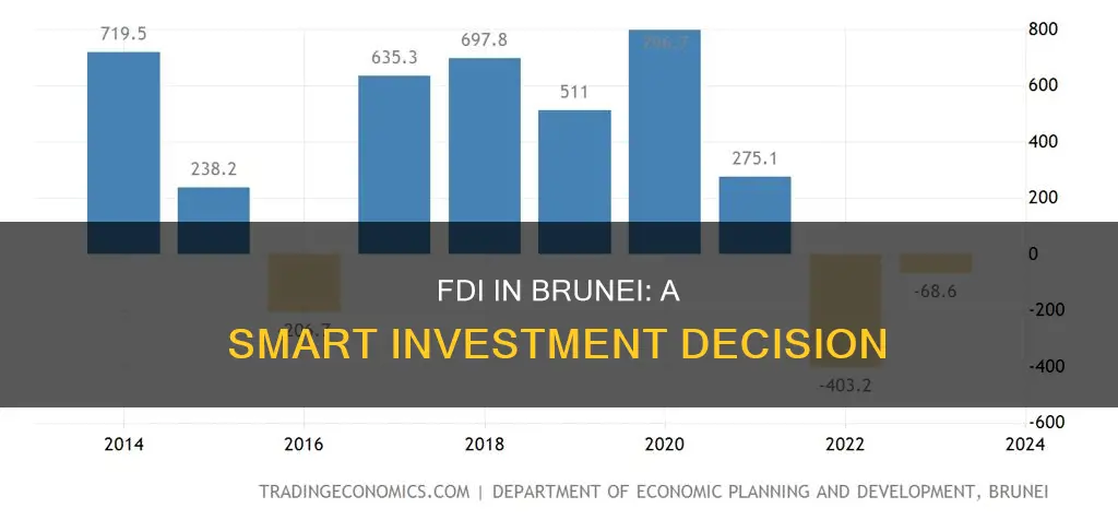 why fdi should invest in brunei