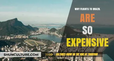 Why Flights to Brazil Cost a Fortune: Unraveling the High Prices