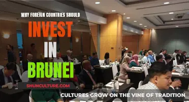 Brunei: A Strategic Investment Hub for Foreign Countries