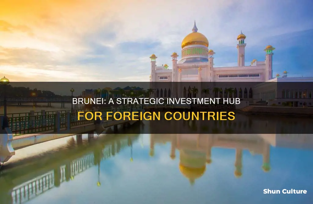 why foreign countries should invest in brunei