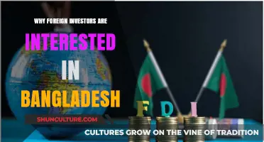 Bangladesh's Rising Appeal: Why Foreign Investors Are Taking Notice