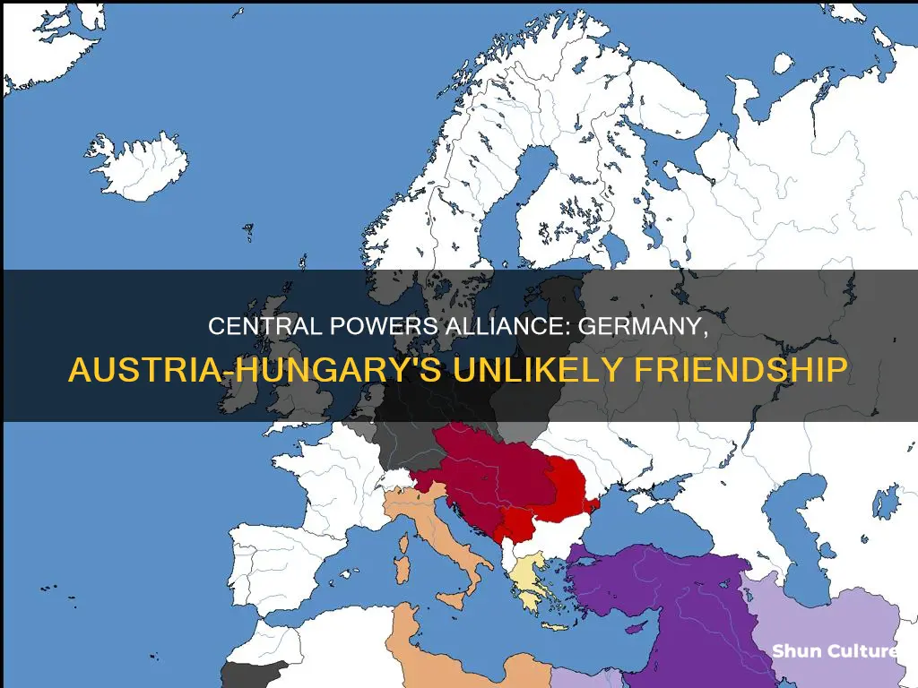why germany austria hungary allied