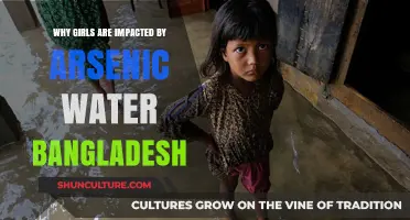 Arsenic Crisis in Bangladesh: Why Girls Bear the Brunt