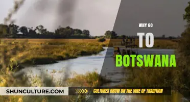 Discover Botswana's Untouched Wilderness, Rich Culture, and Unique Safari Adventures