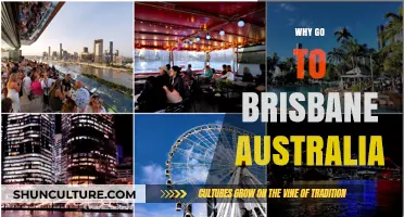 Discover Brisbane: Vibrant Culture, Stunning Nature, and Endless Adventures Await
