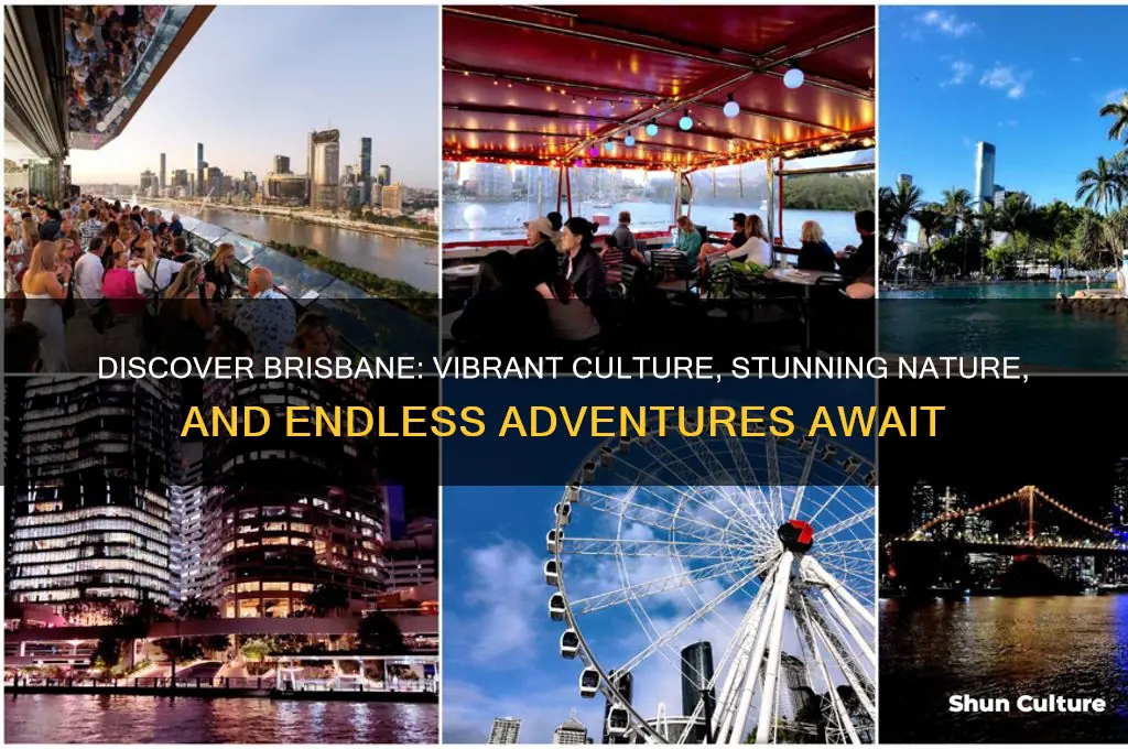 why go to brisbane australia