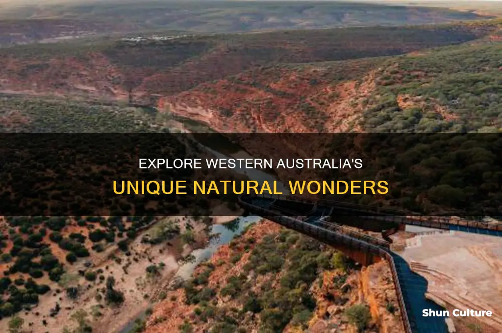 why go to western australia