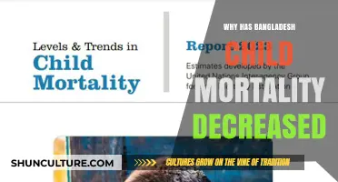 Bangladesh's Success: How Child Mortality Rates Plummeted Dramatically