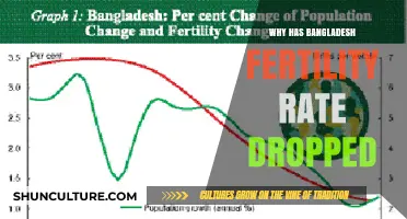 Bangladesh's Fertility Decline: Factors Driving the Dramatic Drop