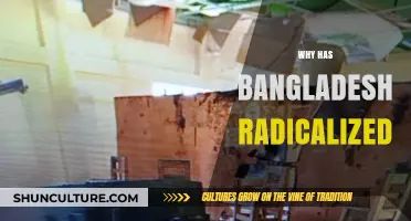Bangladesh's Radicalization: Unraveling the Socio-Political and Economic Drivers
