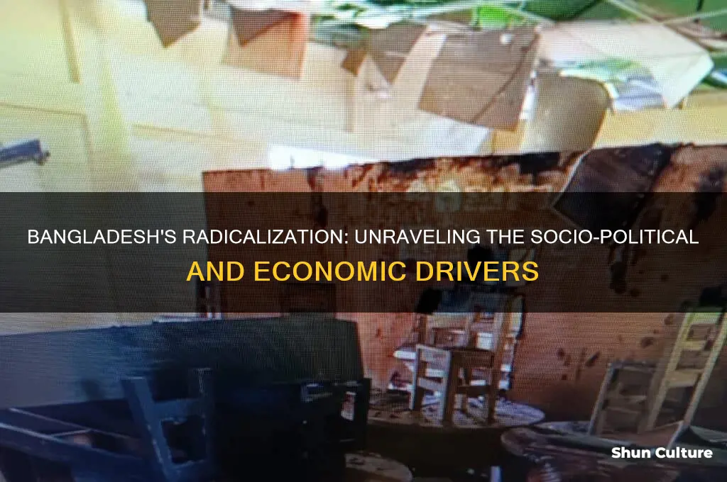 why has bangladesh radicalized