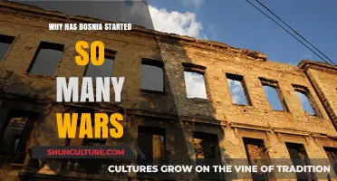 Bosnia's Turbulent History: Unraveling the Roots of Its Numerous Wars