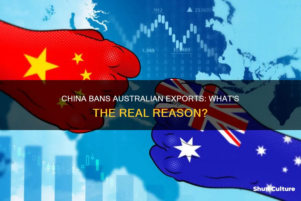 why has china banned australian exports