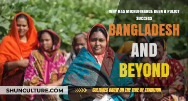 Microfinance Triumph: Bangladesh's Policy Success and Global Impact Explored